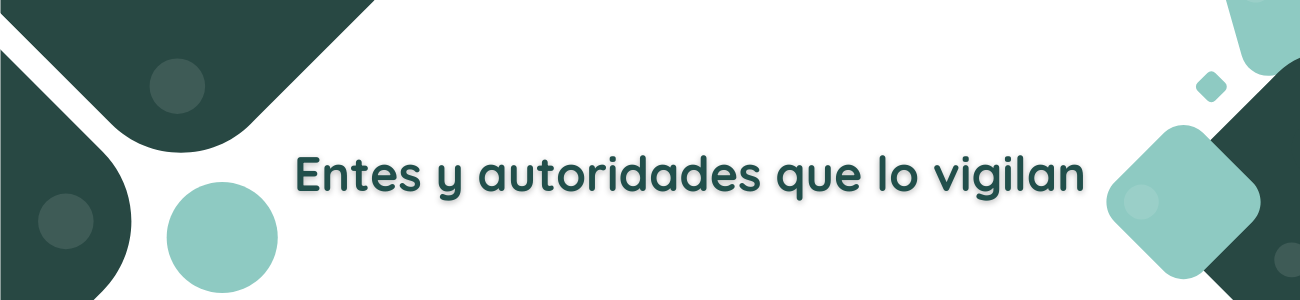 Imagen de portada